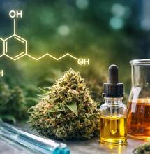 Was ist THCP und ist es stärker als THC?