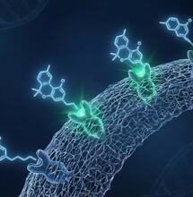 THCV y Diabetes Tipo 2: Resultados clínicos