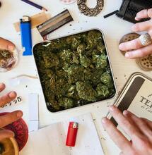 THCV and Weight Loss: Is ‘diet weed’ the answer to cannabis cravings?
