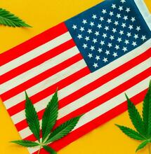 The american flag with some marijuana. 