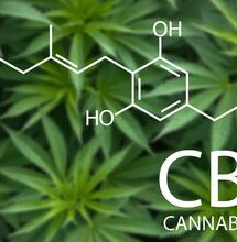 CBG The Mother Cannabinoid