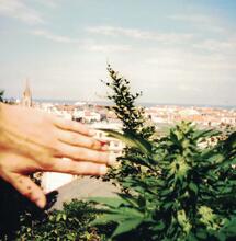 The origins of seed banks in Spain