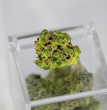 We've come a long way with growing cannabis, and that would have not been possible if it wasn't for modern science and new gadgets.