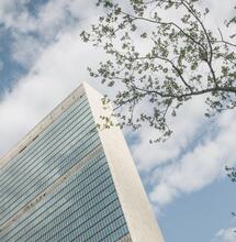 The United Nations Removes Cannabis from List of Dangerous Drugs