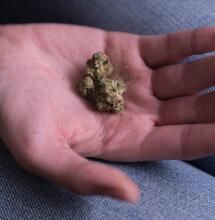 ¿Qué pasa si la policía encuentra a un menor con cannabis?