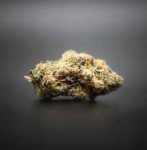 Tight Rules for Germany's Cannabis Clubs