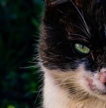 Anular el plan urbanístico de CSC, no los tumbará