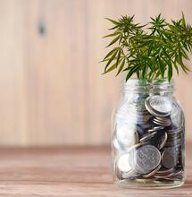 Investire in cannabis è davvero un'opportunità?