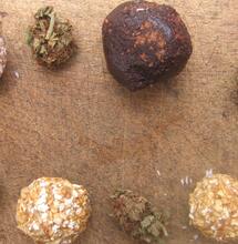 Cocina cannábica: cómo preparar trufas y bombones de marihuana.