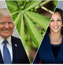 Trump Attacks Kamala: ‘She Jailed Thousands of Blacks’