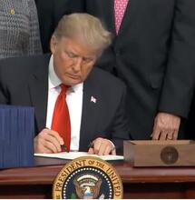 Militantes de Trump proyectan un muro de cáñamo con México