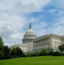 Trump-Regierung könnte über 500 Cannabis-Studien die Finanzierung entziehen