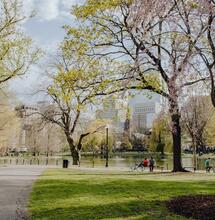 Two Joints in Boston: Part II