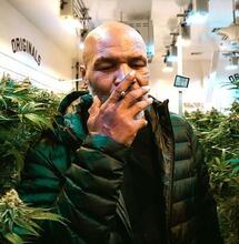 Happy Birthday Mike Tyson