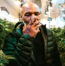 Malawi chiama Tyson: sostieni la nostra Cannabis