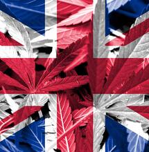 UK cannabis deal sets new record and raises hopes that legalisation could be a real possibility