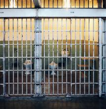 Ciudadanos holandeses detenidos por tráfico de drogas