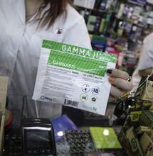 Con la variante Gamma in Uruguay è boom di Cannabis
