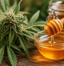 Grow Some Sweet Cannabis Plants with Honey