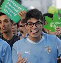 Uruguay: cannabis legal más efectivo que policía para quitar mercado al narco