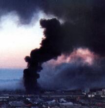 canapa sviluppo sostenibile