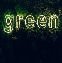 Vegan Weed, The Cleanest Green