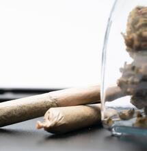 ¿El cannabis se vence? Sí tiene fecha de caducidad