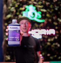 Video tips para cannabis: nutrientes y fertilización en la marihuana.