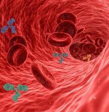THC: come eliminarlo dall’organismo in modo naturale