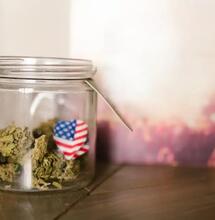 VS zet reclassificering cannabis door