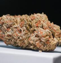 Watermelon Zkittlez Strain Review