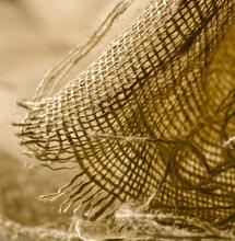 Vantaggi della canapa come fibra tessile