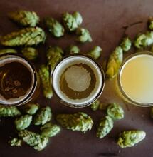 Weed and Alcohol: Any Dose of Alcohol Increases THC Levels in Blood