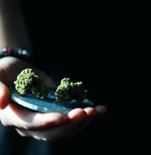 weed, young people and the justice system