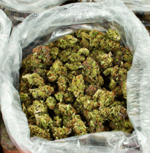 Record weedbust in Spain (2700 kilo)