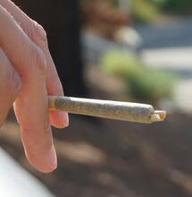 The ‘Standard THC Unit’: Science Reveals New Low-Risk Limits