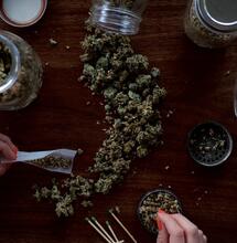 Los Grows Responden: Chu Majek