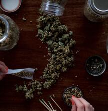 Aparece marihuana en el Ejército chileno