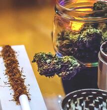 Livraison gratuite de graines de cannabis