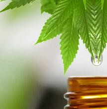 5 Misconceptions About CBD
