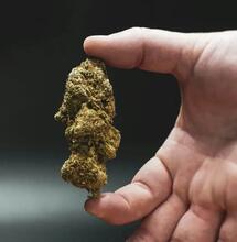 Was ist Cannabis-Zittern?