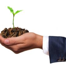 what does the future of cannabis holds?