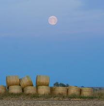 The Harvest Moon and the Spirit of Croptober 