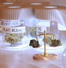 What Impact Global Cannabis Regulations Have in Europe?