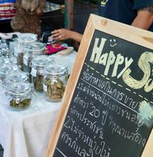 cannabis boom Thailand