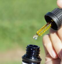 7 Things About CBD