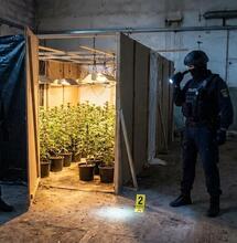 The craziest places where police found weed in 2025