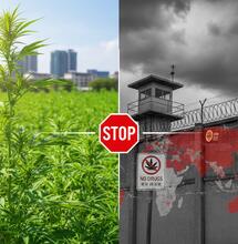 10 Strictest Cannabis Laws: Travel Warning & 2025 Penalties Update