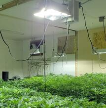 everything you need to know about grow lights for cannabis
