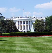 the White House